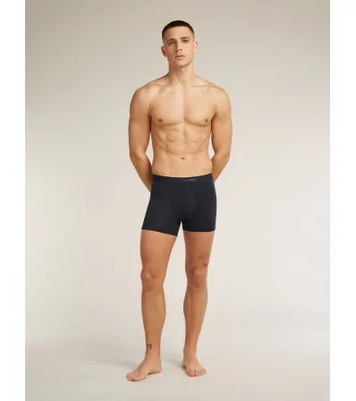 Боксерки Icebreaker Merino Blend 125 Cool-Lite Anatomica Boxers