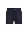 Боксерки Icebreaker Merino Blend 125 Cool-Lite Anatomica Boxers